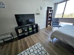 Cedar Lodge condo with mountain & lake Winnipesauke views! - Image 3