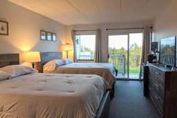 Cute Lower Level Cedar Lodge Room with Balcony & Lake Views! - Image 2