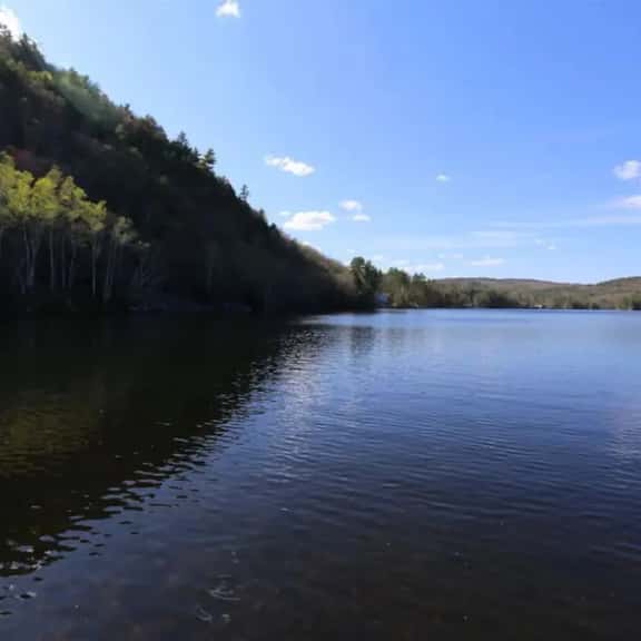 Hobie's Landing - Blissful lake Side Cottage on Winona Lake! - Image 1