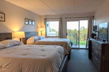 Cute Lower Level Cedar Lodge Room with Balcony & Lake Views! - Image 2