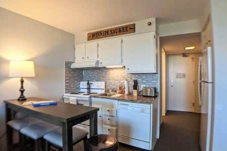 Cute Cedar Lodge Studio with Balcony & Lake Views! - Image 2